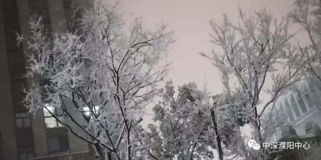 中深·濮阳中心丨濮阳下雪啦!注意保暖呦~